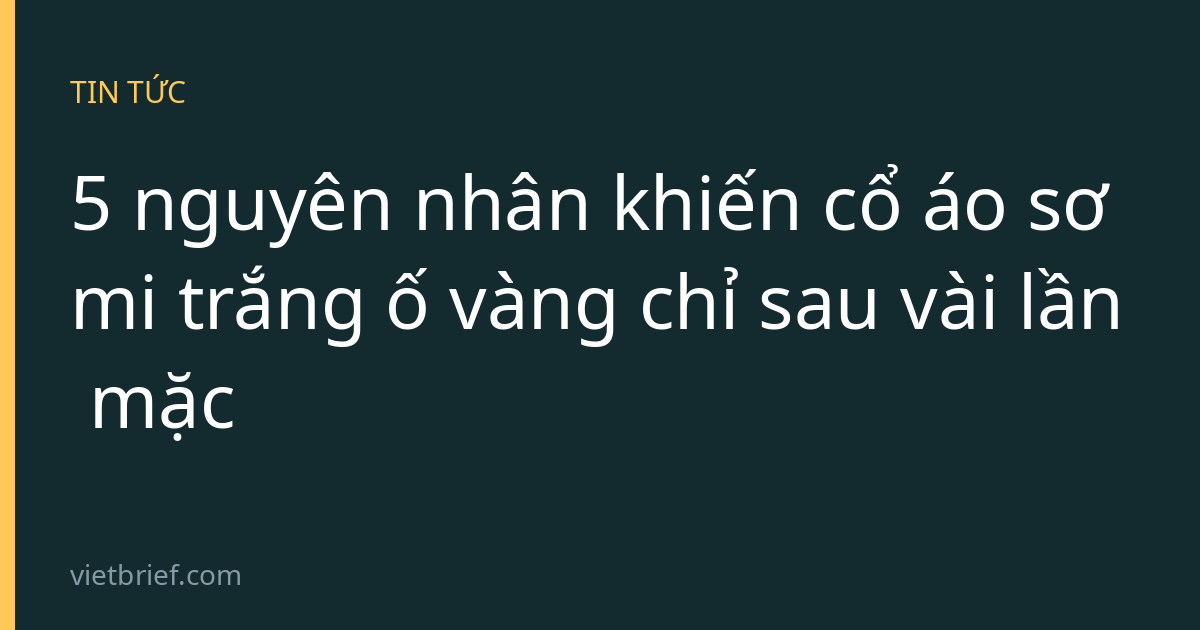 5 nguyên nhân khiến cổ áo sơ mi trắng ố vàng chỉ sau vài lần mặc