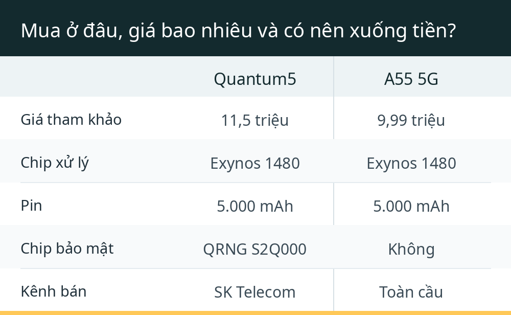 Mua ở đâu, giá bao nhiêu và có nên xuống tiền?