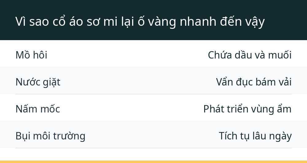 Vì sao cổ áo sơ mi lại ố vàng nhanh đến vậy