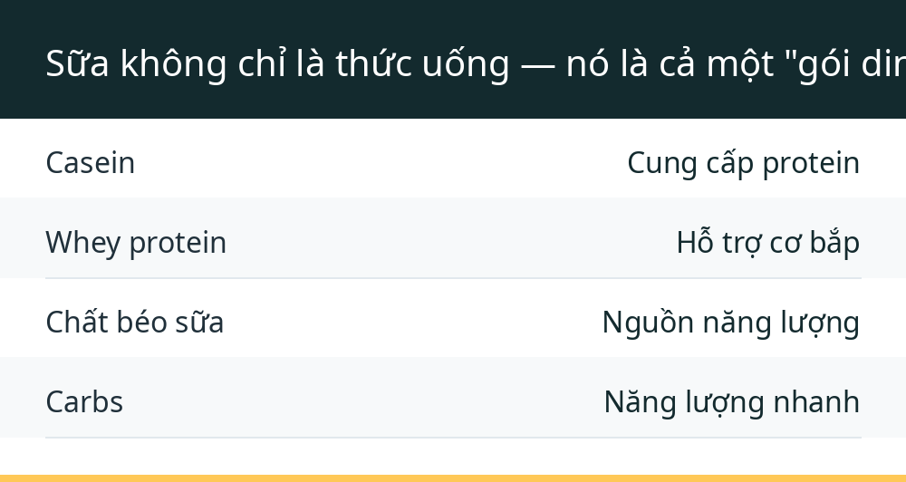 Sữa không chỉ là thức uống — nó là cả một "gói dinh dưỡng" mà mẹ thiên nhiên đã đóng gói sẵn