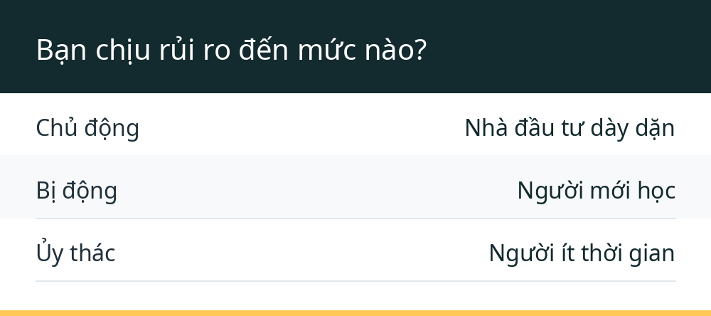 Bạn chịu rủi ro đến mức nào?