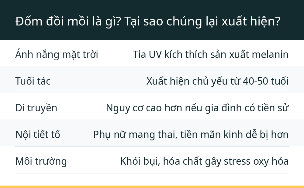 Đốm đồi mồi là gì? Tại sao chúng lại xuất hiện?