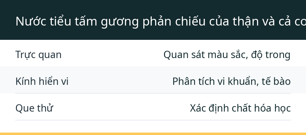 Nước tiểu tấm gương phản chiếu của thận và cả cơ thể