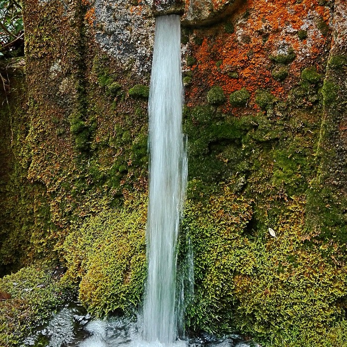Thời gian sống tinh trùng