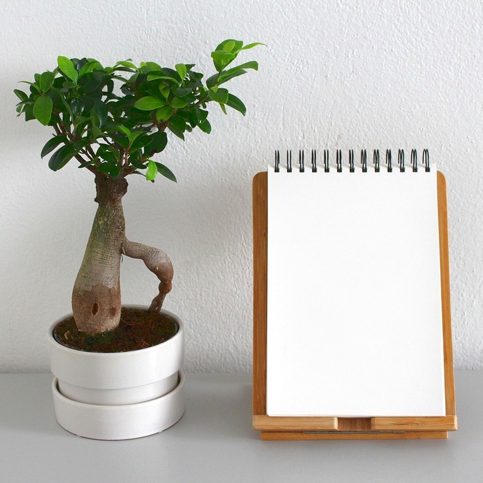 Ý thức dân chủ học sinh