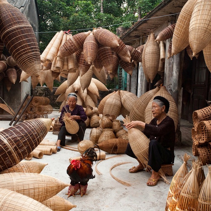 Cổ tức công ty Việt Nam