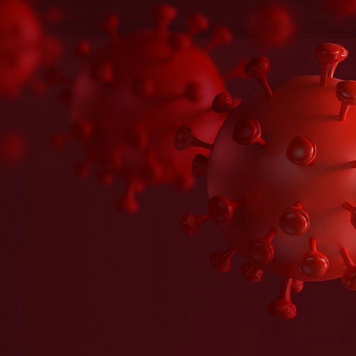 Virus cúm Influenza