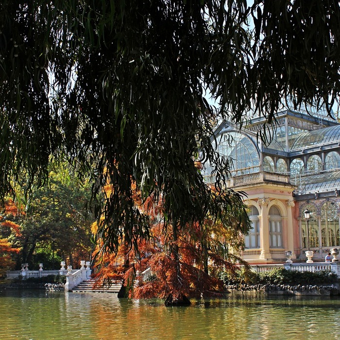 Ví điện tử phổ biến