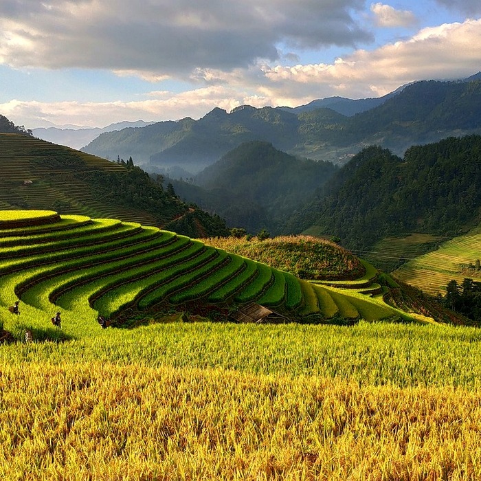 Khởi nghiệp Việt Nam