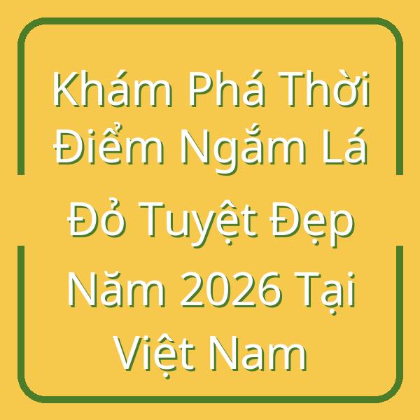 Khám Phá Thời Điểm Ngắm Lá Đỏ Tuyệt Đẹp Năm 2026 Tại Việt Nam