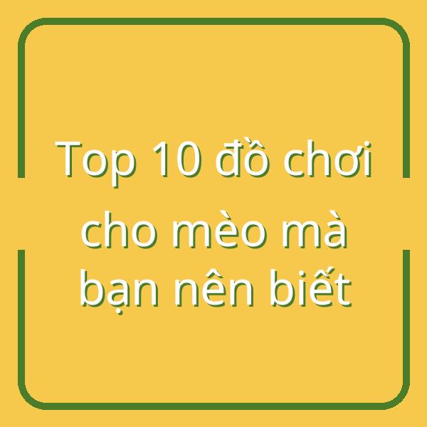 Top 10 đồ chơi cho mèo mà bạn nên biết