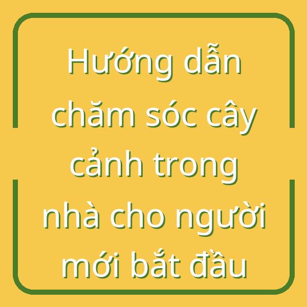 Hướng dẫn chăm sóc cây cảnh trong nhà cho người mới bắt đầu