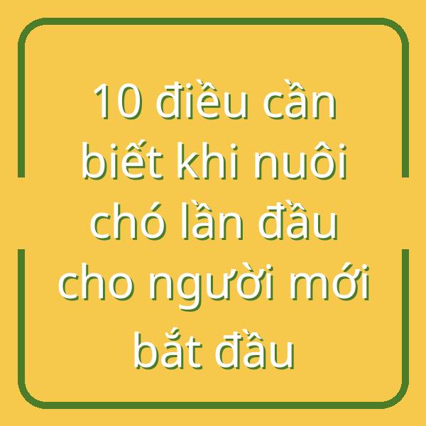 10 điều cần biết khi nuôi chó lần đầu cho người mới bắt đầu