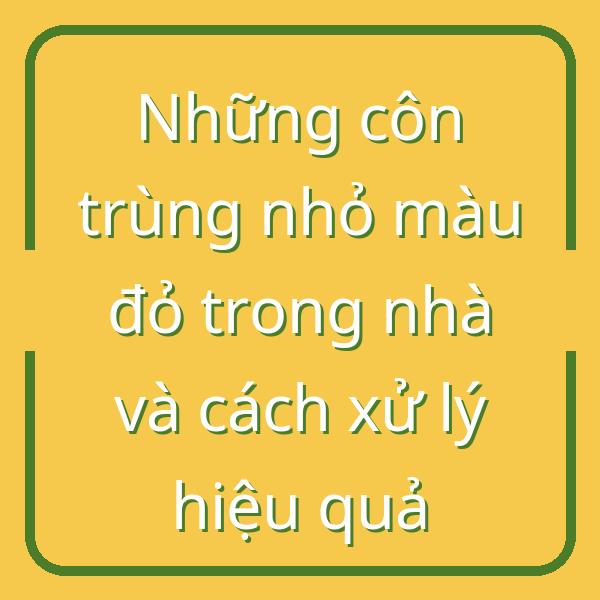 Những côn trùng nhỏ màu đỏ trong nhà và cách xử lý hiệu quả