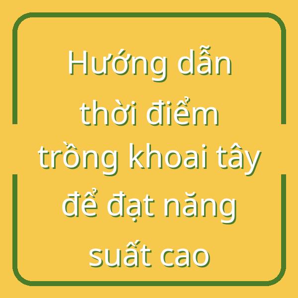 Hướng dẫn thời điểm trồng khoai tây để đạt năng suất cao