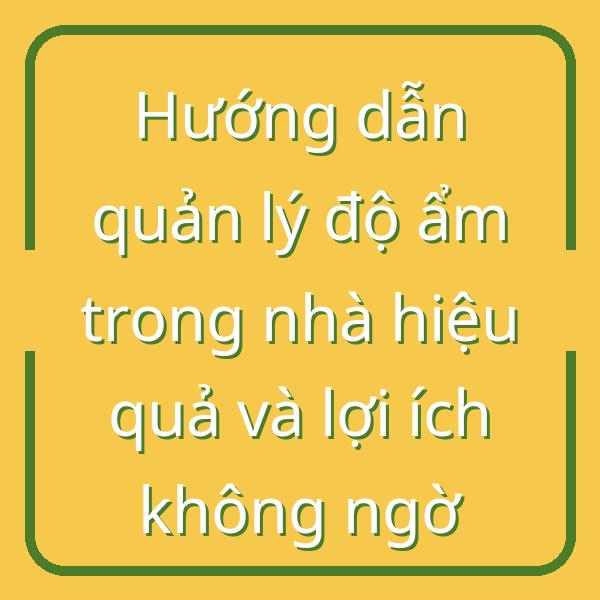 Hướng dẫn quản lý độ ẩm trong nhà hiệu quả và lợi ích không ngờ