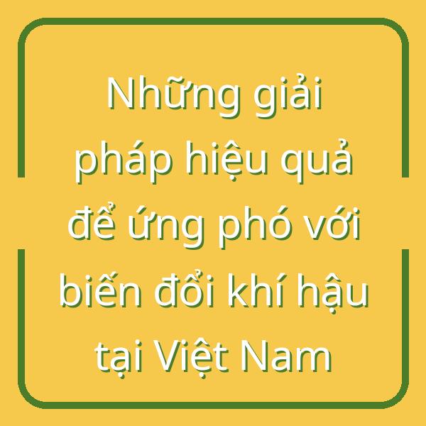 Những giải pháp hiệu quả để ứng phó với biến đổi khí hậu tại Việt Nam