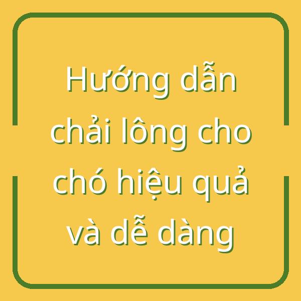 Hướng dẫn chải lông cho chó hiệu quả và dễ dàng