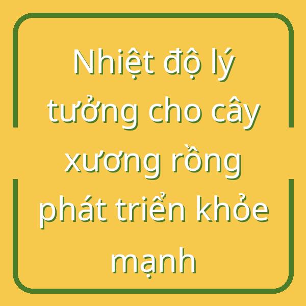 Nhiệt độ lý tưởng cho cây xương rồng phát triển khỏe mạnh