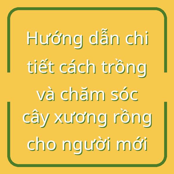 Hướng dẫn chi tiết cách trồng và chăm sóc cây xương rồng cho người mới
