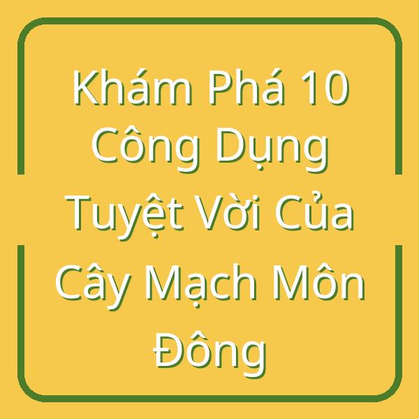 Khám Phá 10 Công Dụng Tuyệt Vời Của Cây Mạch Môn Đông