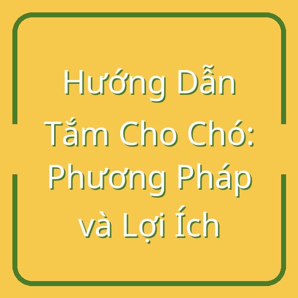 Hướng Dẫn Tắm Cho Chó: Phương Pháp và Lợi Ích