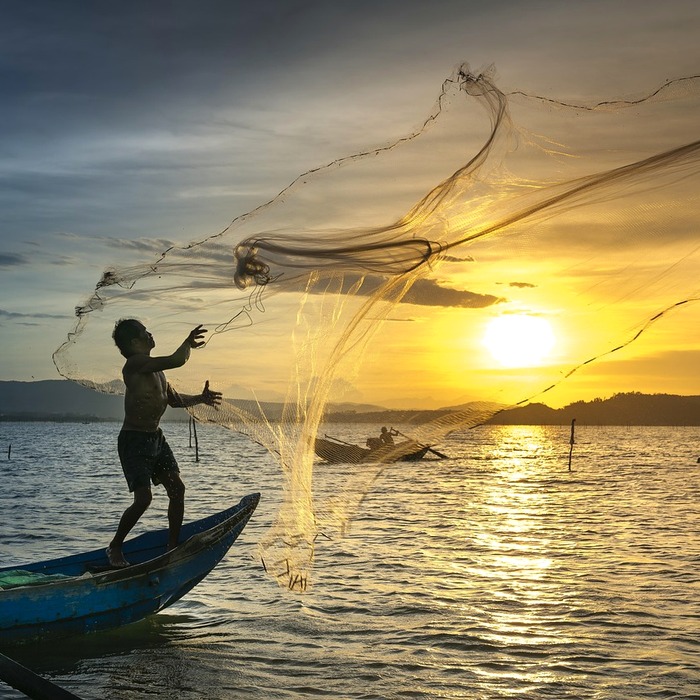 Đội tuyển bóng đá Việt Nam