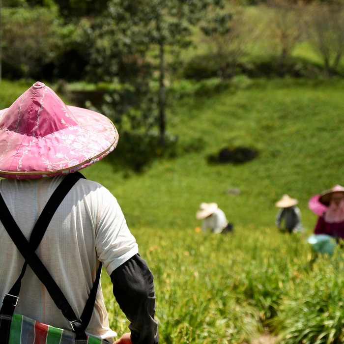 Lợi ích công việc linh hoạt