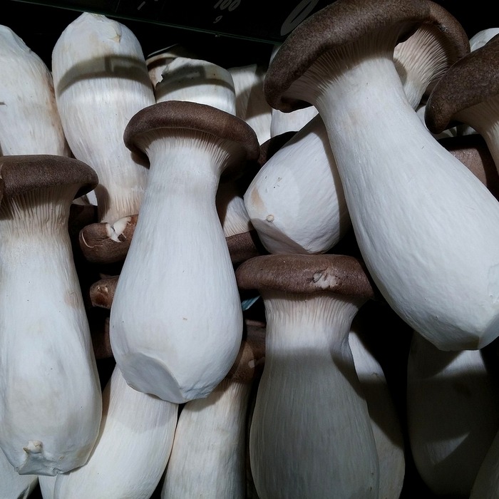 Lập sổ tay chi tiêu