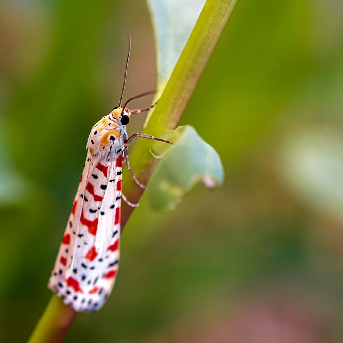 Tiểu đêm nhiều lần