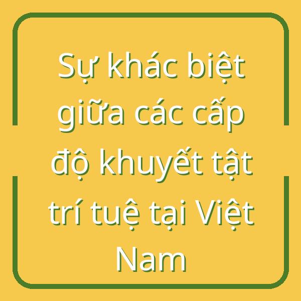 Sự khác biệt giữa các cấp độ khuyết tật trí tuệ tại Việt Nam