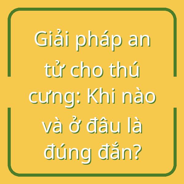 Giải pháp an tử cho thú cưng: Khi nào và ở đâu là đúng đắn?