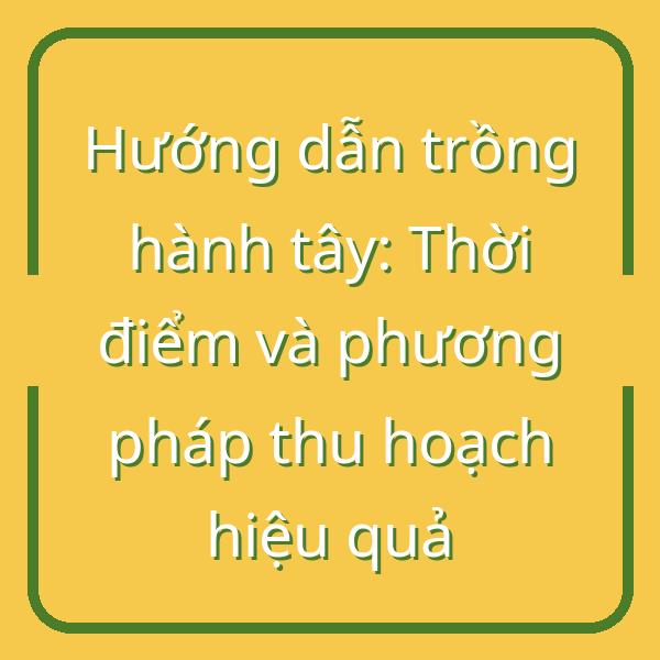 Hướng dẫn trồng hành tây: Thời điểm và phương pháp thu hoạch hiệu quả