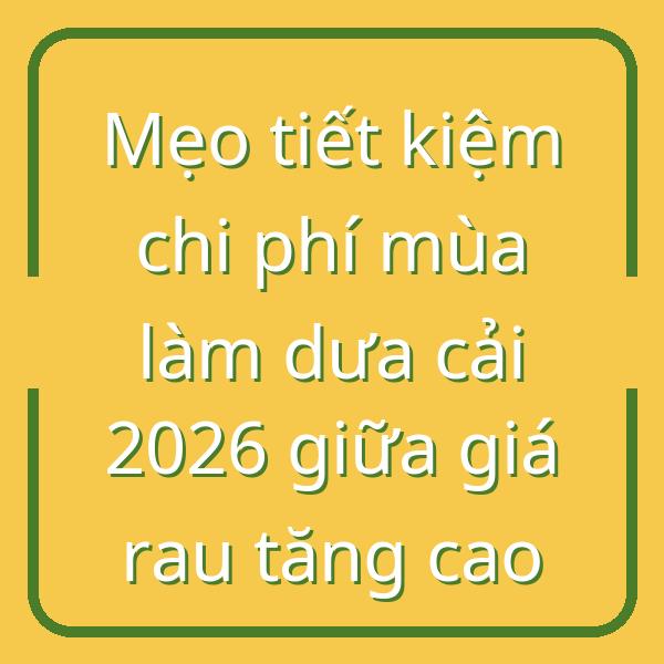 Mẹo tiết kiệm chi phí mùa làm dưa cải 2026 giữa giá rau tăng cao