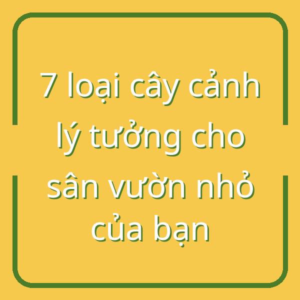 7 loại cây cảnh lý tưởng cho sân vườn nhỏ của bạn