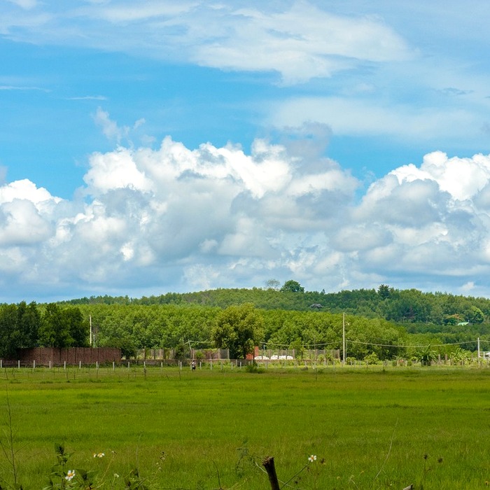 Nhà mạng Việt Nam