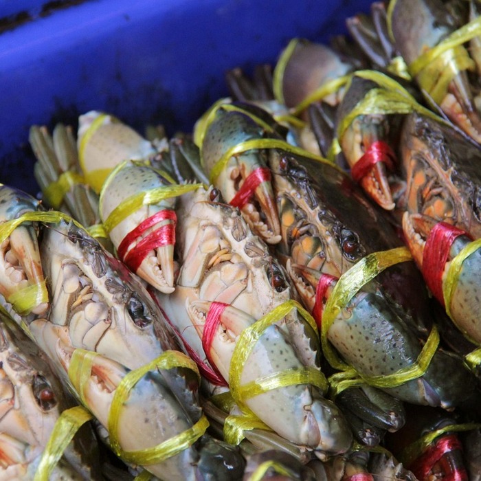 Hải sản tươi sống