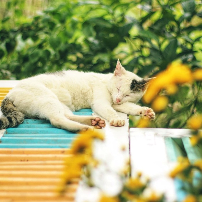 Tư thế ngủ nằm nghiêng