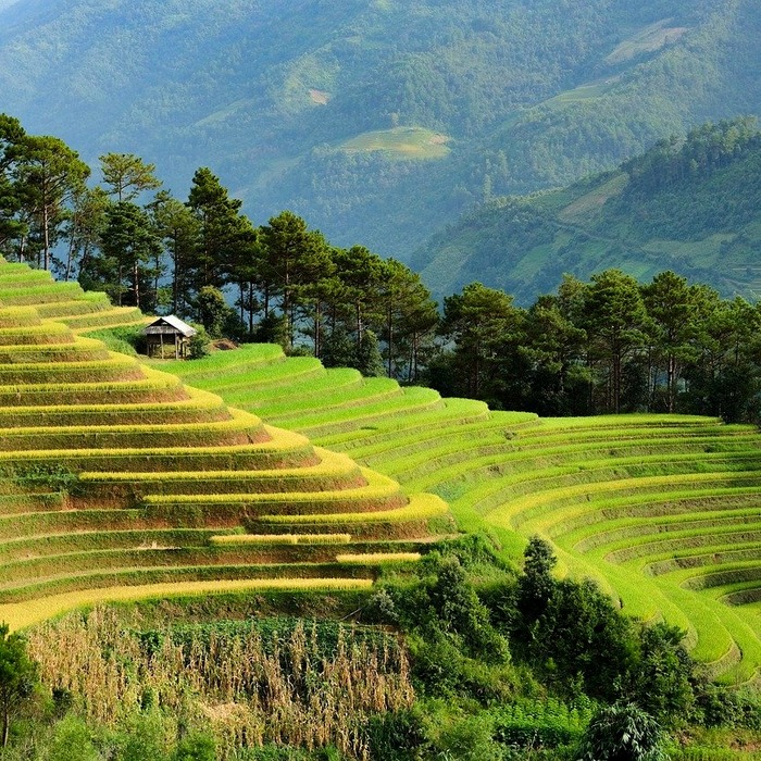 Du lịch cầu treo Việt Nam