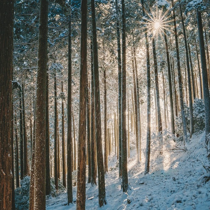 Nhân vật Ae Sun