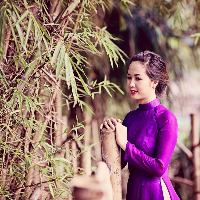 Bầu cử bổ sung Việt Nam