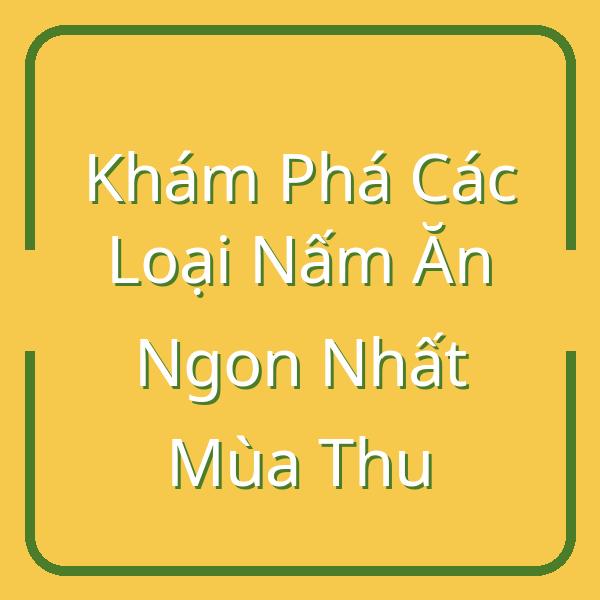 Khám Phá Các Loại Nấm Ăn Ngon Nhất Mùa Thu