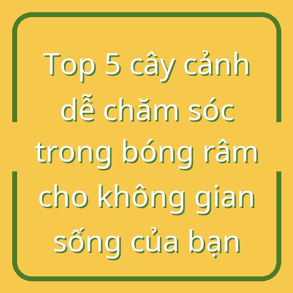 Top 5 cây cảnh dễ chăm sóc trong bóng râm cho không gian sống của bạn