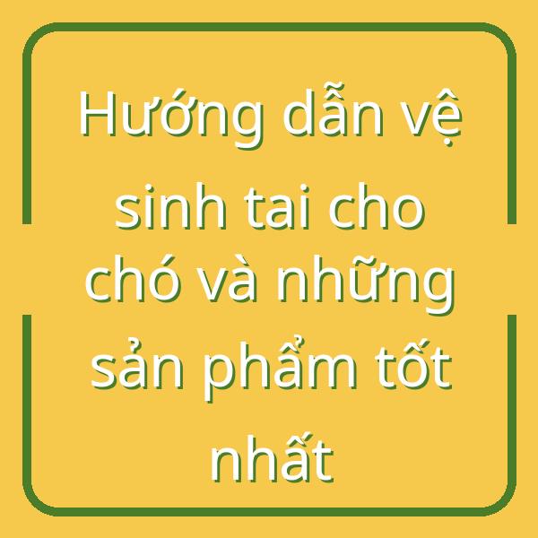 Hướng dẫn vệ sinh tai cho chó và những sản phẩm tốt nhất