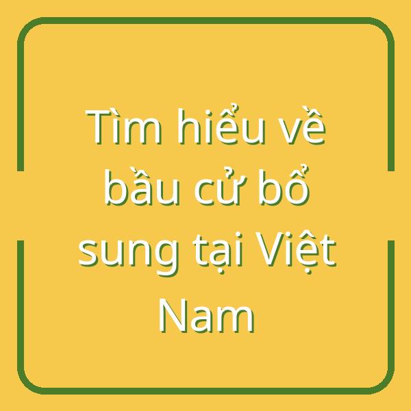 Tìm hiểu về bầu cử bổ sung tại Việt Nam