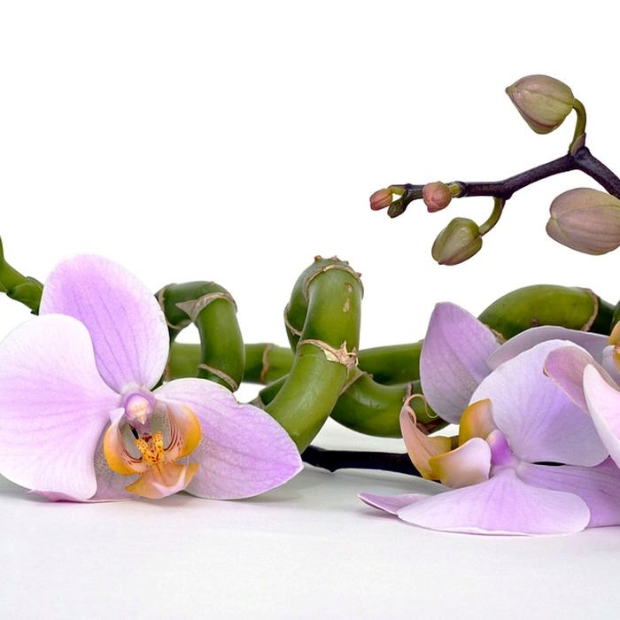 Bảng chi tiêu mẫu