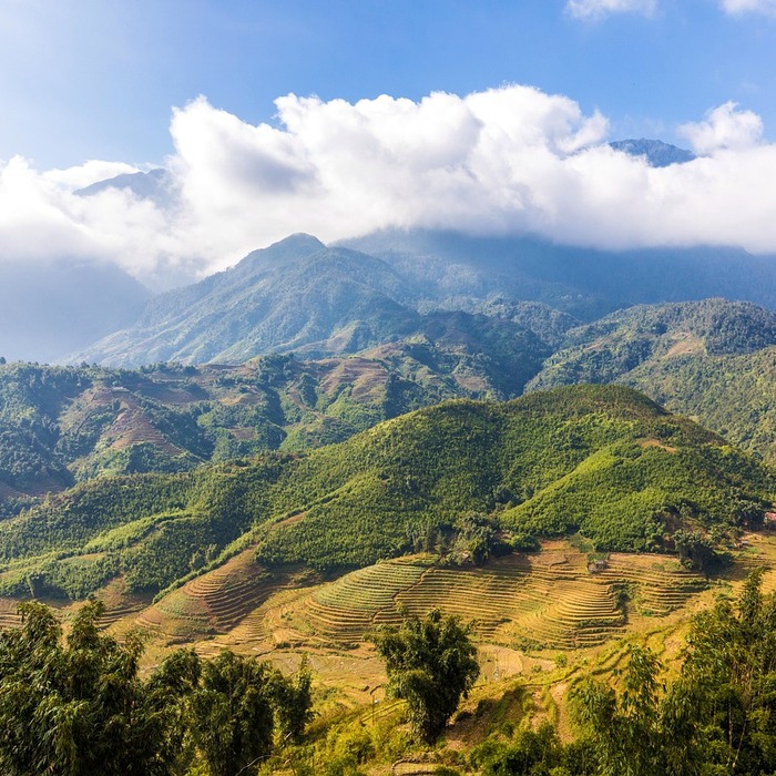 Ruộng bậc thang Sapa