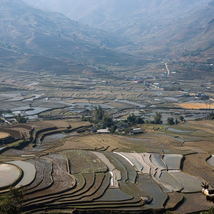 Ruộng bậc thang Hòa Bình