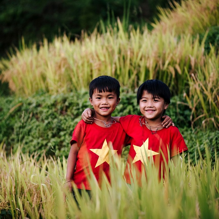 - tuổi nghỉ hưu Việt Nam