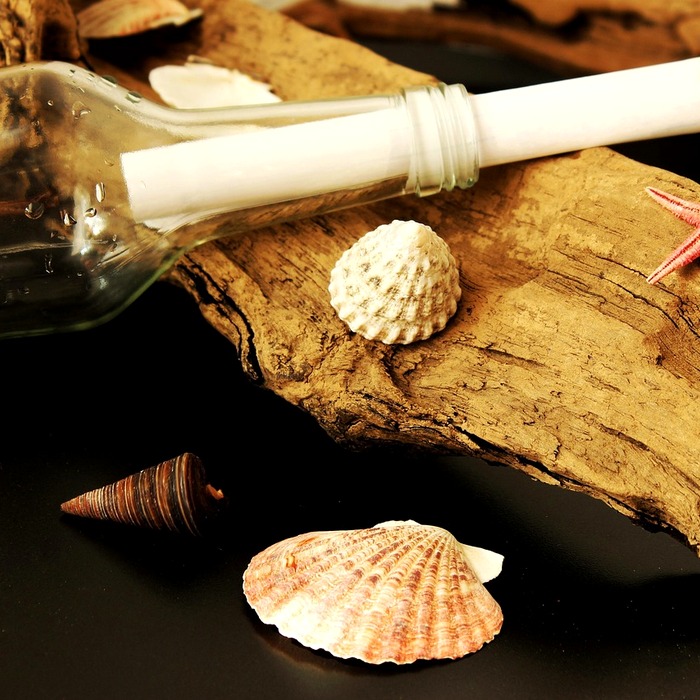 Cổ tức cổ phiếu